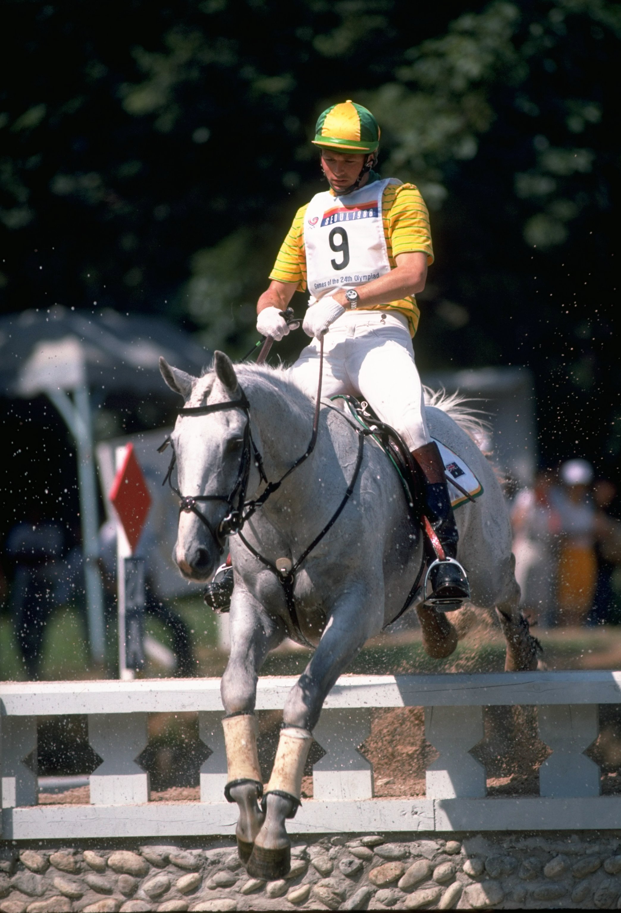 David Green Australian Olympic Committee